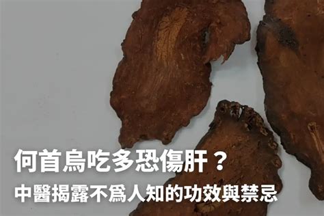 何首烏 禁忌